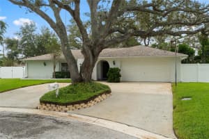 10389 BAY HILLS DRIVE, LARGO, FL 33774 - MLS#MFRTB8427282
