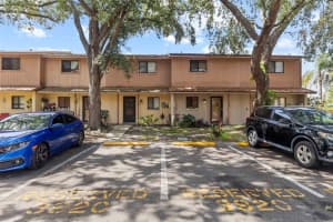 3920 CEDAR LIMB COURT, TAMPA, FL 33614 - MLS#MFRTB8427289