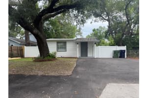2008 E Annie St, TAMPA