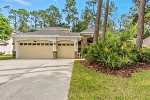 5108 DUNHAM CREEK PLACE, BRANDON, FL 33511 - MLS#MFRTB8427354