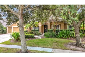 311 GOLDEN ELM DRIVE, SEFFNER, FL 33584 - MLS#MFRTB8427396