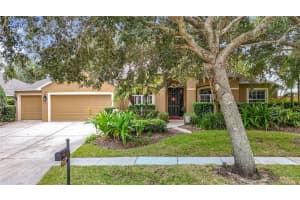 311 GOLDEN ELM DRIVE, SEFFNER, FL 33584 - MLS#MFRTB8427396