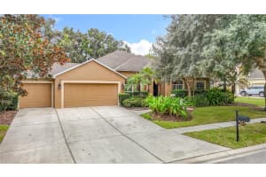 311 GOLDEN ELM DRIVE, SEFFNER, FL 33584 - MLS#MFRTB8427396