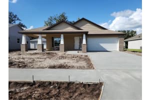 418 Shannon Estates Ct, PLANT CITY