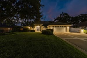3430 LAKE DRIVE, LAND O LAKES, FL 34639 - MLS#MFRTB8427432