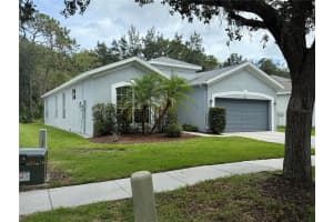 19111 CYPRESS REACH LANE, TAMPA, FL 33647 - MLS#MFRTB8427449