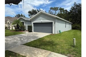 19111 CYPRESS REACH LANE, TAMPA, FL 33647 - MLS#MFRTB8427449