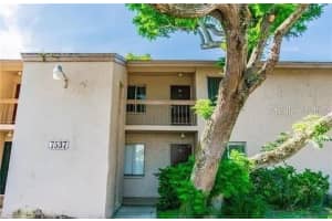 7537 PITCH PINE CIRCLE, TAMPA, FL 33617 - MLS#MFRTB8427481