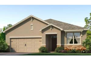 17665 Farm Hill Ave, LAND O LAKES