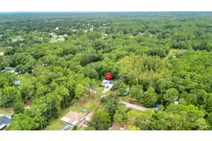 7541 CONRAD STREET, WESLEY CHAPEL, FL 33544 - MLS#MFRTB8427488