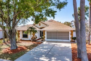 1510 ORACLE DRIVE, SUN CITY CENTER, FL 33573 - MLS#MFRTB8427506