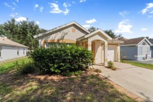 14953 DEER MEADOW DRIVE, LUTZ, FL 33559 - MLS#MFRTB8427508