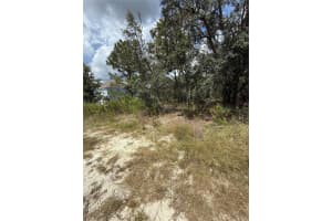 13063 CONVENT GARDEN ROAD, BROOKSVILLE, FL 34613 - MLS#MFRTB8427521