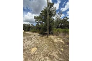 13063 CONVENT GARDEN ROAD, BROOKSVILLE, FL 34613 - MLS#MFRTB8427521