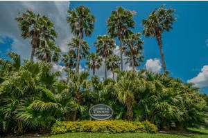 4410 LIVE OAK BOULEVARD, PALM HARBOR, FL 34685 - MLS#MFRTB8427546