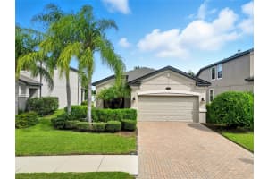 18879 DEER TRACKS LOOP, LUTZ, FL 33558 - MLS#MFRTB8427552