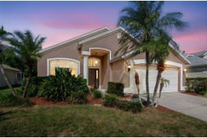 9821 Bayboro Bridge Dr, TAMPA