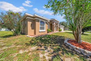 10177 DEER STREET, SPRING HILL, FL 34608 - MLS#MFRTB8427564