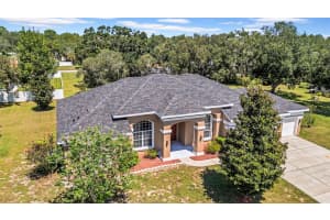 10177 DEER STREET, SPRING HILL, FL 34608 - MLS#MFRTB8427564
