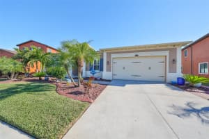 13230 FAWN LILY DRIVE, RIVERVIEW, FL 33579 - MLS#MFRTB8427580