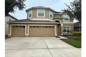 20146 Oakflower Ave, TAMPA