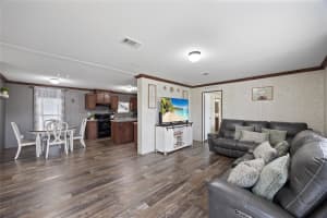 4490 LOWER MEADOW ROAD, MULBERRY, FL 33860 - MLS#MFRTB8427618