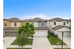 7033 Samuel Ivy Dr, TAMPA
