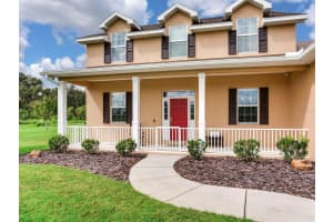 8703 ALAFIA HILLS DRIVE, PLANT CITY, FL 33567 - MLS#MFRTB8427669