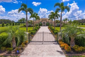 17332 CARLTON LAKE ROAD, WIMAUMA, FL 33598 - MLS#MFRTB8427681