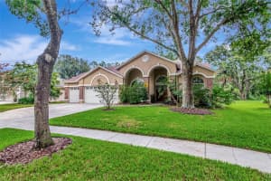 5622 GLENCREST BOULEVARD, TAMPA, FL 33625 - MLS#MFRTB8427689