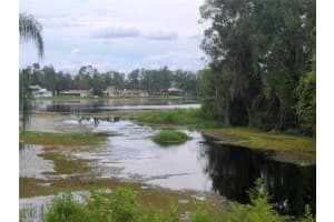 18810 TRACER DRIVE, LUTZ, FL 33549 - MLS#MFRTB8427732