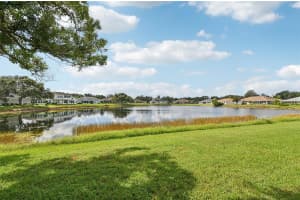 2218 OLIVE BRANCH DRIVE, SUN CITY CENTER, FL 33573 Sold 10/20/25