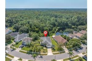 4948 RIDGEMOOR CIRCLE, PALM HARBOR, FL 34685 - MLS#MFRTB8427807