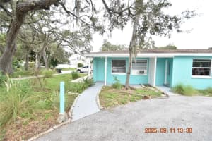 600 BELTREES STREET, DUNEDIN, FL 34698 - MLS#MFRTB8427817
