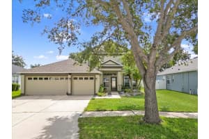 11418 CALLAWAY POND DRIVE, RIVERVIEW, FL 33579 - MLS#MFRTB8427833