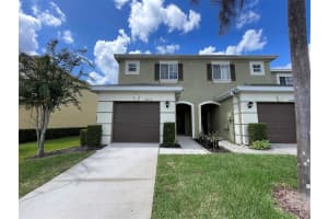 20438 NEEDLETREE DRIVE, TAMPA, FL 33647 - MLS#MFRTB8427848