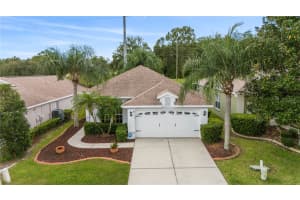 3009 BANYAN HILL LANE, LAND O LAKES, FL 34639 - MLS#MFRTB8427864