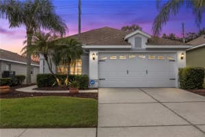 3009 BANYAN HILL LANE, LAND O LAKES, FL 34639 - MLS#MFRTB8427864