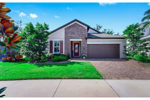 10513 ALCON BLUE DRIVE, RIVERVIEW, FL 33578 - MLS#MFRTB8427873