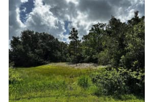 0 DOHERTY DRIVE, LAKE WALES, FL 33898 - MLS#MFRTB8427879