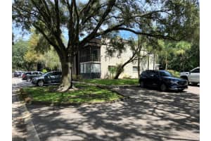 11703 RAINTREE VILLAGE BOULEVARD, TEMPLE TERRACE, FL 33617 - MLS#MFRTB8427882
