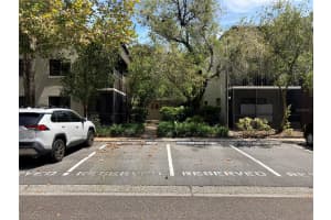 11703 RAINTREE VILLAGE BOULEVARD, TEMPLE TERRACE, FL 33617 - MLS#MFRTB8427882