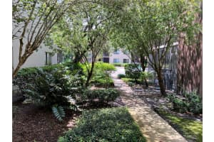 11703 RAINTREE VILLAGE BOULEVARD, TEMPLE TERRACE, FL 33617 - MLS#MFRTB8427882
