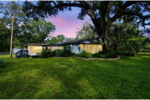 4220 Lakewood Dr, SEFFNER