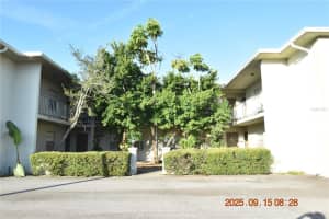 302 DANUBE AVENUE, TAMPA, FL 33606 - MLS#MFRTB8427952