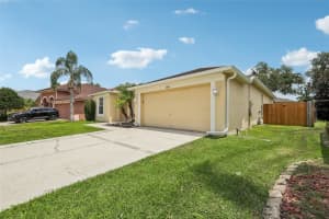 18101 Misty Blue Ln, TAMPA