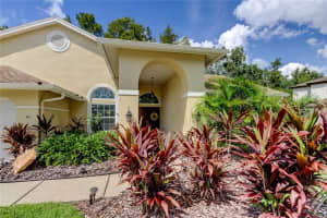 965 COBBLESTONE LANE, TARPON SPRINGS, FL 34688 - MLS#MFRTB8427969