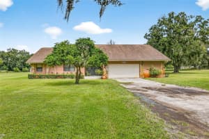 8410 KNIGHTS GRIFFIN ROAD, PLANT CITY, FL 33565 - MLS#MFRTB8427996