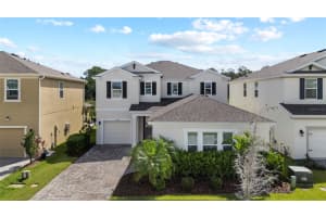 18017 RAMBLE ON WAY, LAND O LAKES, FL 34638 - MLS#MFRTB8428001