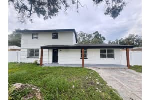 10118 Alambra Ave, TAMPA
